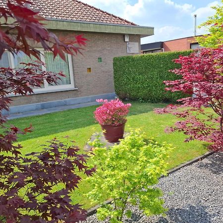 B&B Sogni D'Oro Lovendegem ภายนอก รูปภาพ