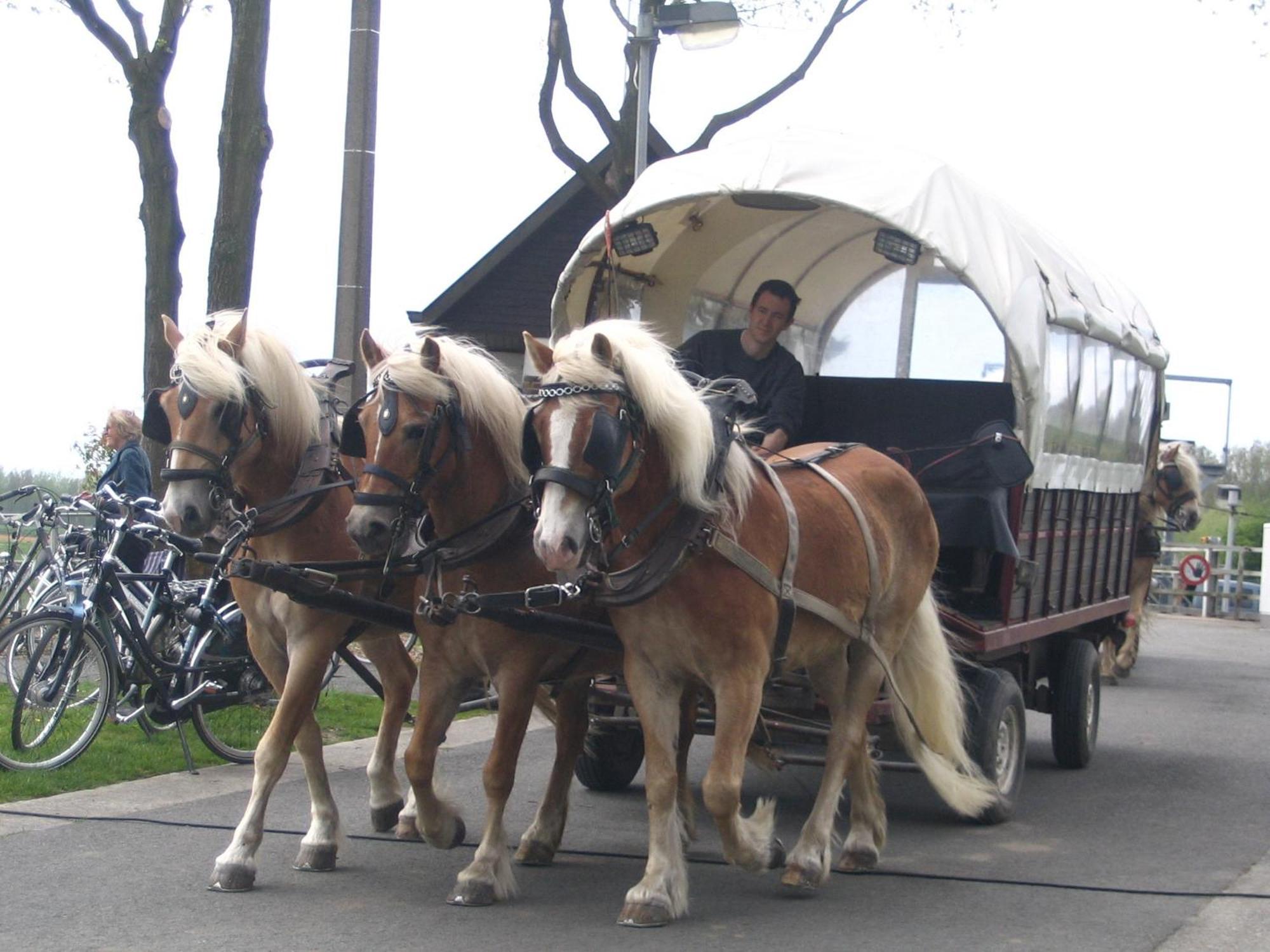 B&B Sogni D'Oro Lovendegem ภายนอก รูปภาพ