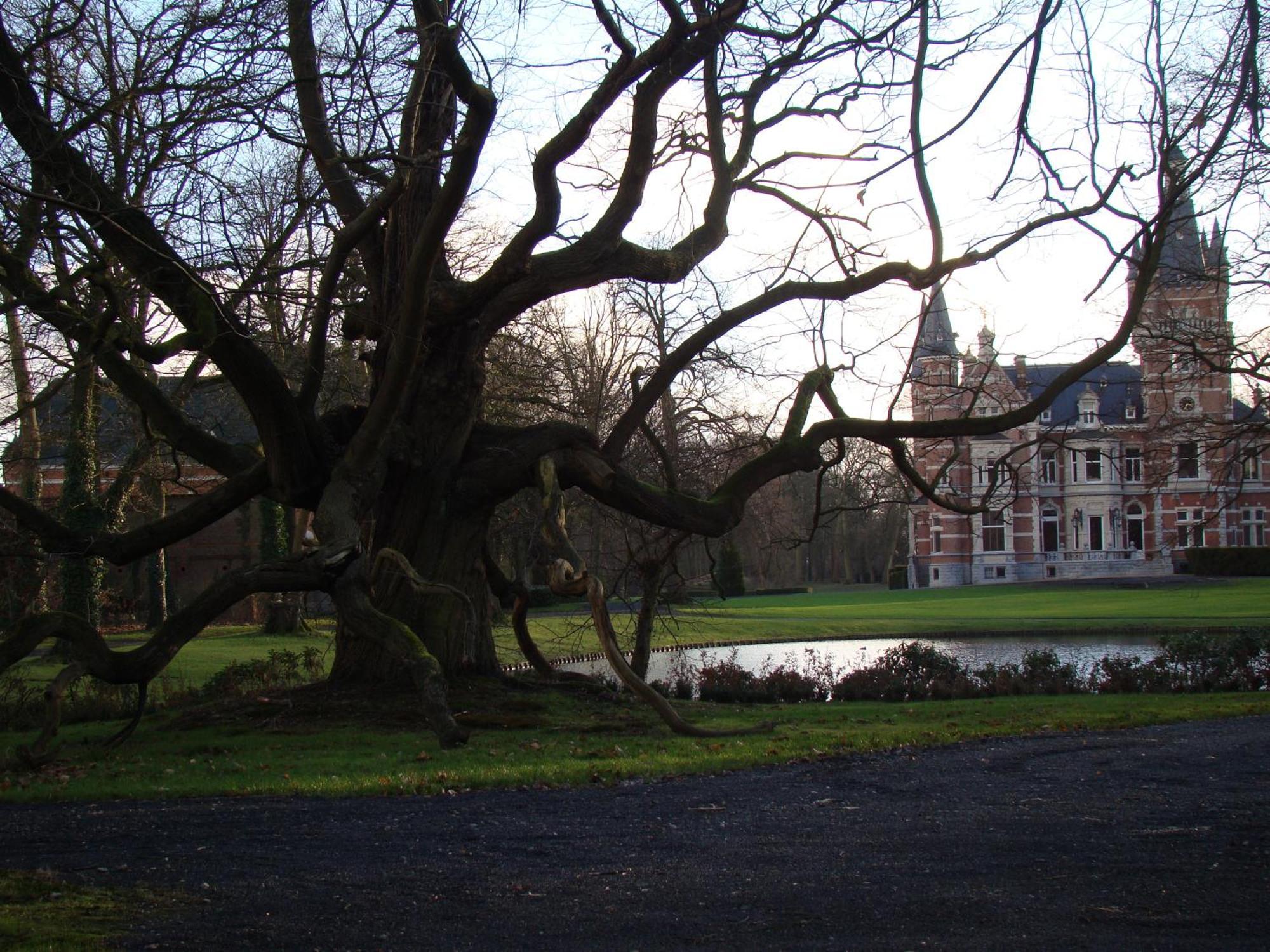 B&B Sogni D'Oro Lovendegem ภายนอก รูปภาพ